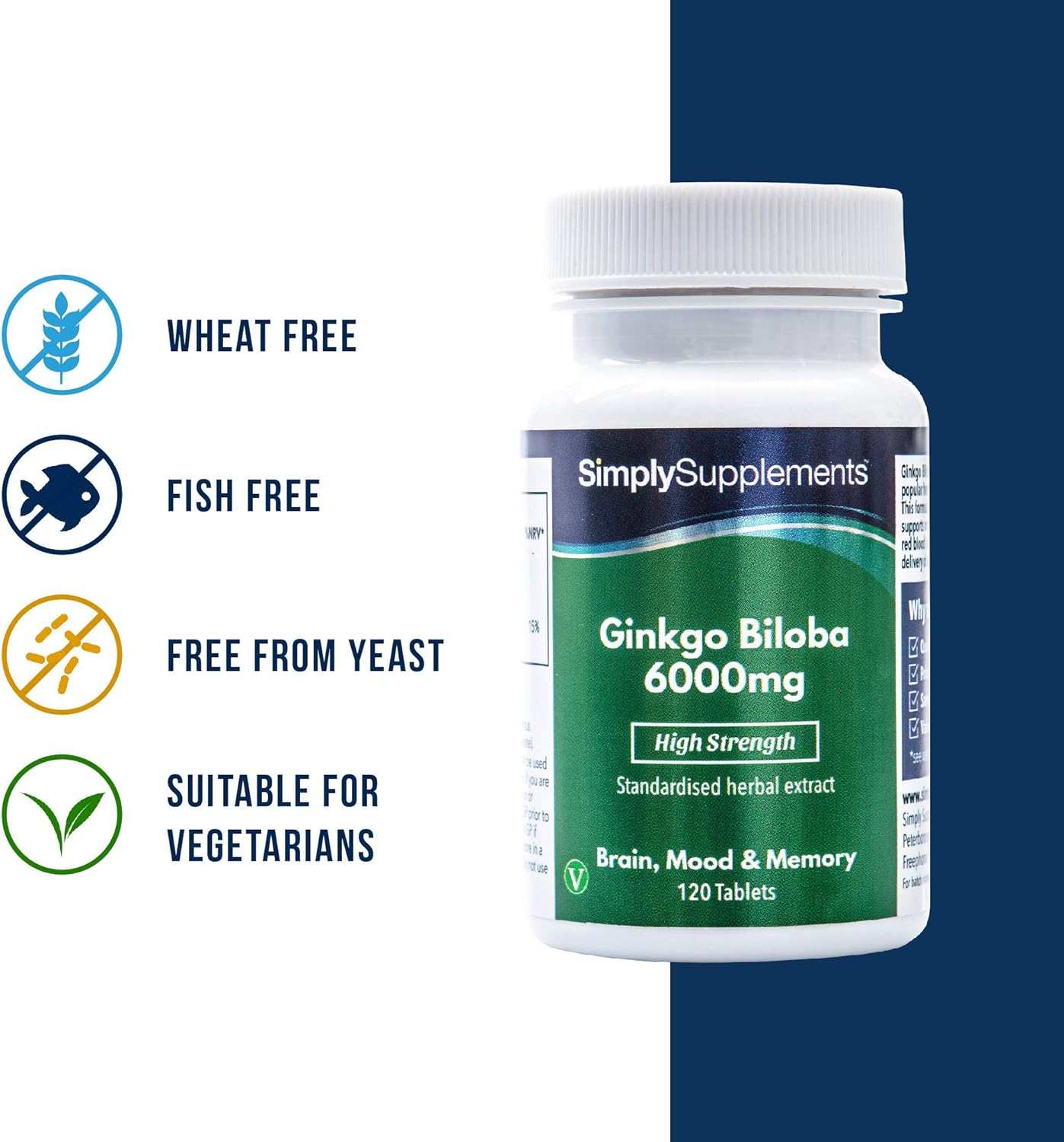 Ginkgo Biloba Tablets 6000mg (120 Tabs): Health & Personal Care