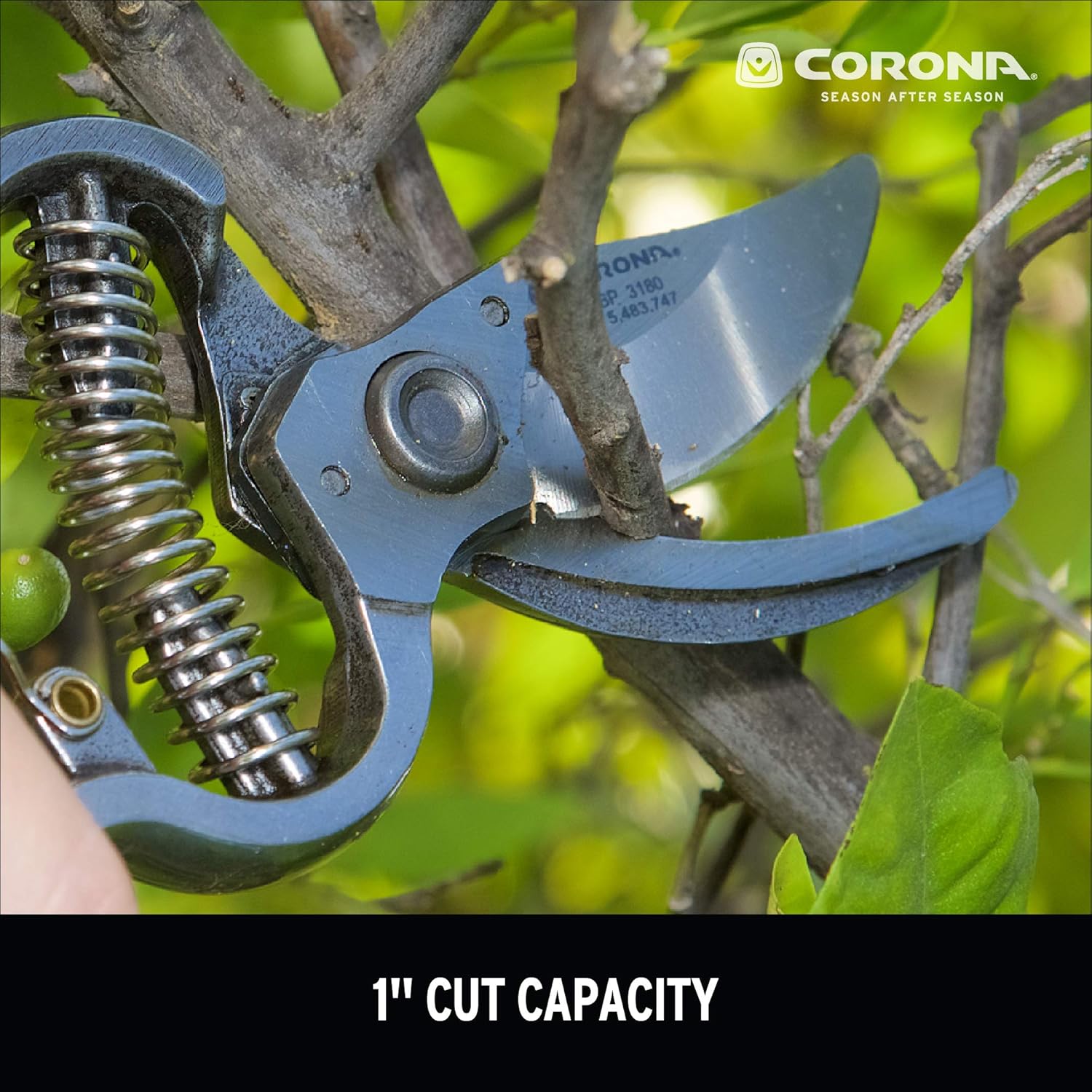 Corona BP 3180D Forged Classic Bypass Pruner with 1 Inch Cutting Capacity, 1", Red : Hand Pruners : Garden & Outdoor