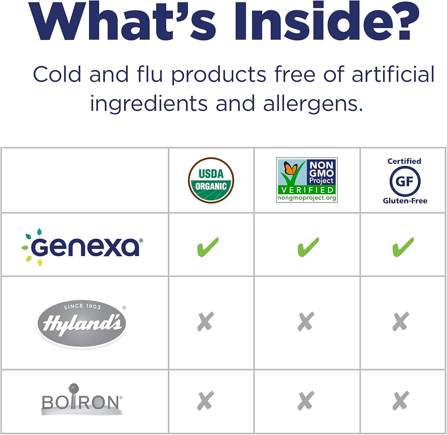 Genexa Flu Fix – 60 Tablets | Certified Organic & Non-GMO, Physician Formulated, Homeopathic | Multi-Symptom Flu Medicine: Health & Personal Care