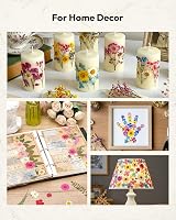 Resiners 100 Pcs Dried Flowers for Resin Crafts Preserved Real Flowers Kit view 3