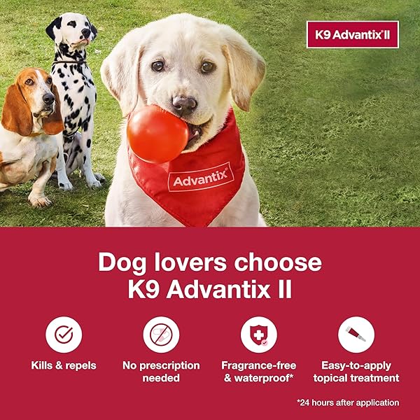 K9 ADVANTIX II MEDIUM DOG VET-RECOMMENDED FLEA, TICK & MOSQUITO TREATMENT & PREVENTION | DOGS 11-20 LBS. | 2-MO SUPPLY