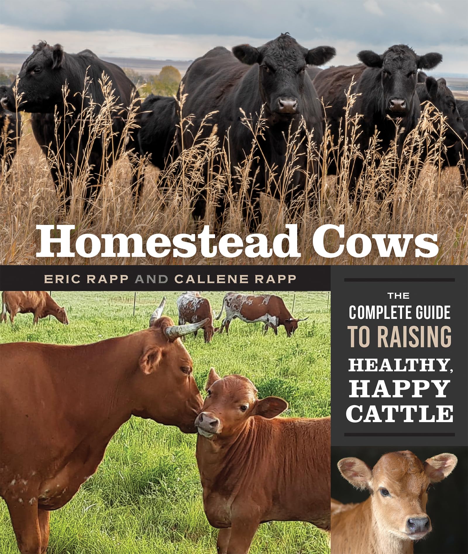 Homestead Cows: The Complete Guide to Raising Healthy, Happy Cattle Homestead Cows: The Complete Guide to Raising Healthy, Happy Cattle Paperback Kindle