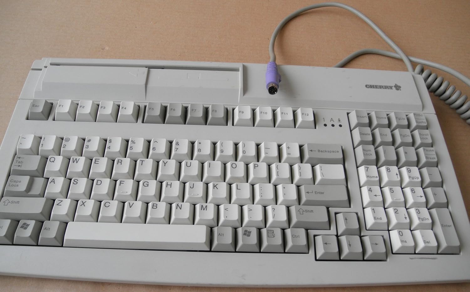 клавиатура pc/2. подключил клавиатуру к ноуту. можно ли играть с 2 клавиатур. можно ли играть с 2 клавиатур. Ps/2 keyboard.