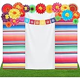 17 Pieces Mexican Party Decorations Set Mexican Paper Flowers Fiesta Ruffled Streamer Backdrop Papel Picado Banner Mexico Party Decorations for Hispanic Heritage Month , Cinco De Mayo Decor