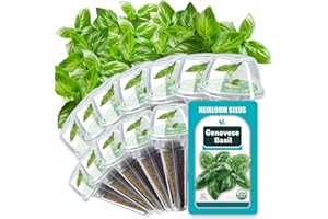 HIHOYA Herb Seed Pods Kit Basil - for All Hydroponics Growing Systems, 12 Pods Herb Kit with 1000+ Seeds of Genovese Basil, Grow Your Own Herb Garden at Home
