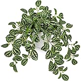 Briful Fake Plants Indoor Artificial Potted Silk Plants Faux Watermelon Peperomia Trailing Vine Plant for Home Office Livingroom Desk Shelf Mantle Decoration(Green/White - 1 Pack)