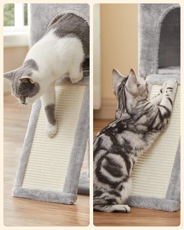 Arbre à Chat, Tour de Jeux, Chaton