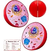 Cross Sectional Foam Animal Cell Model | Biology, Anatomy &amp; Science Project | Cross Sectional Foam Animal Cell Model Learning, Teaching, STEM Kits Clearly Labeled Organelles Strong Magnet Connector