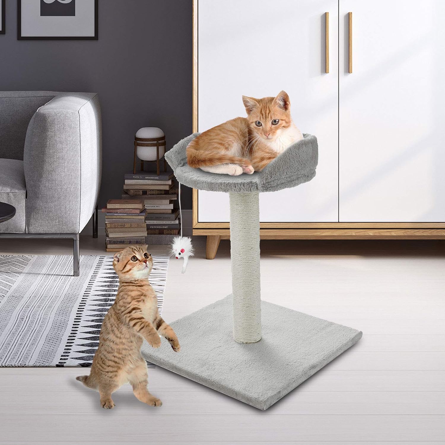 ScratchMe Tree Condo with Scratching Post : Pet Supplies