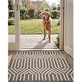 DEXI Front Door Mats for Entryway, Non Slip Washable Low-Profile Entry Doormat, Absorbent Resist Dirt Inside Floor Entrance Mat, Patio, 2x3 ft, Brown