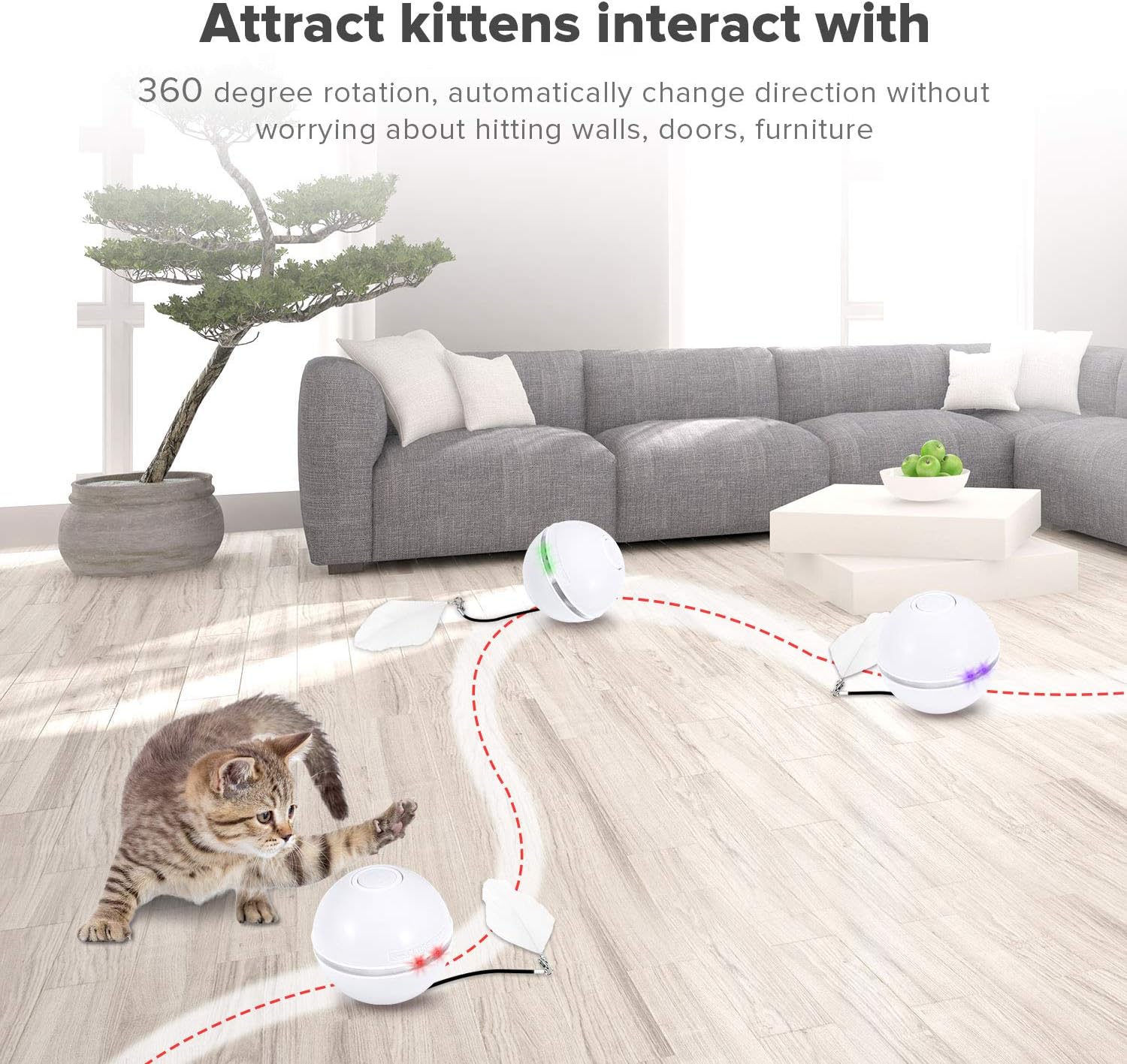 Feeko Interactive Cat Toys for Indoor Cats, Automatic Rolling Kitty Toys, Build-in Catnip Spinning Color Led Light, USB Charging Timing Motion Ball with Feather/Bells Toys for Cats/Kitten (White) : Pet Supplies