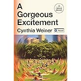 A Gorgeous Excitement: A Novel