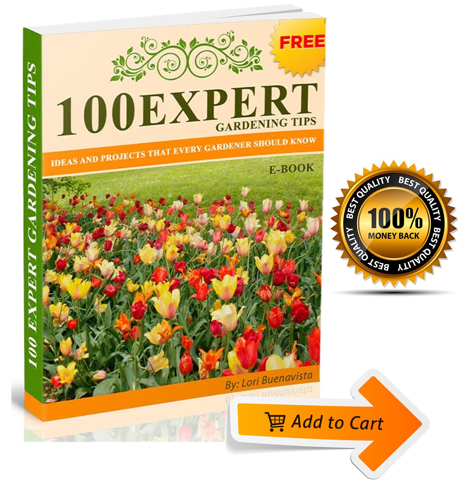 Expandable Water Hose No Kinking Flexible Lightweight Garden Nozzle with 7-Pattern Spray 50ft