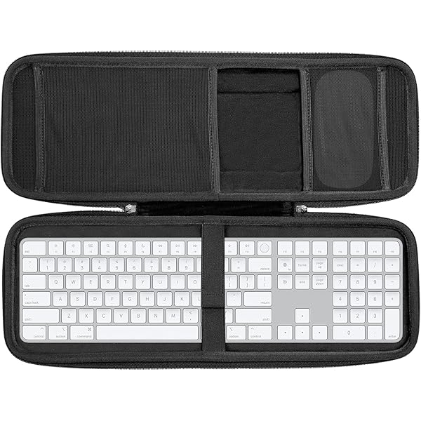 Amazon.com: Lebakort Storage Case Compatible with Apple Magic