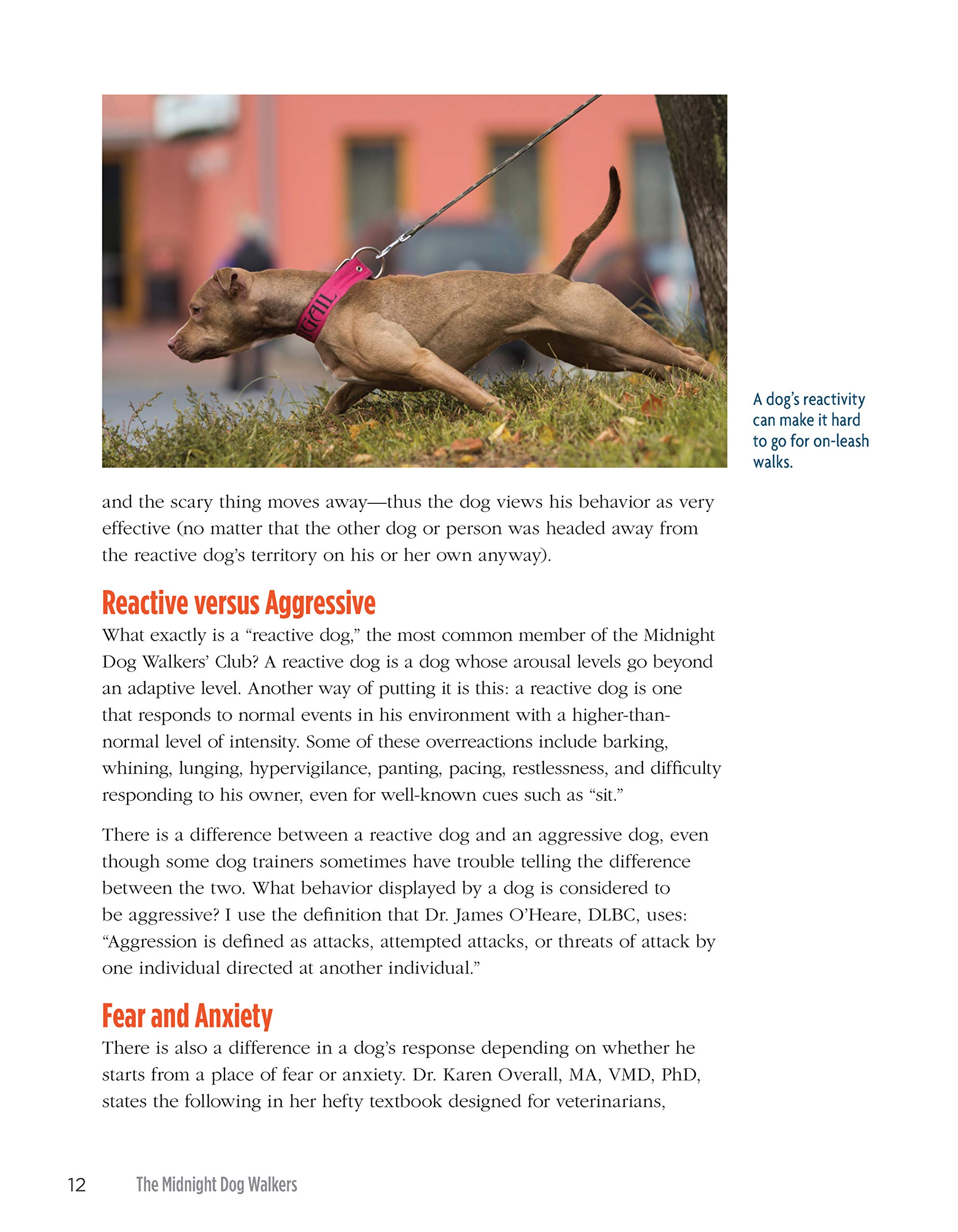The Midnight Dog Walkers Positive Training And Practical Advice For Living With Reactive And Aggressive Dogs Phenix Annie Amazon De Bucher