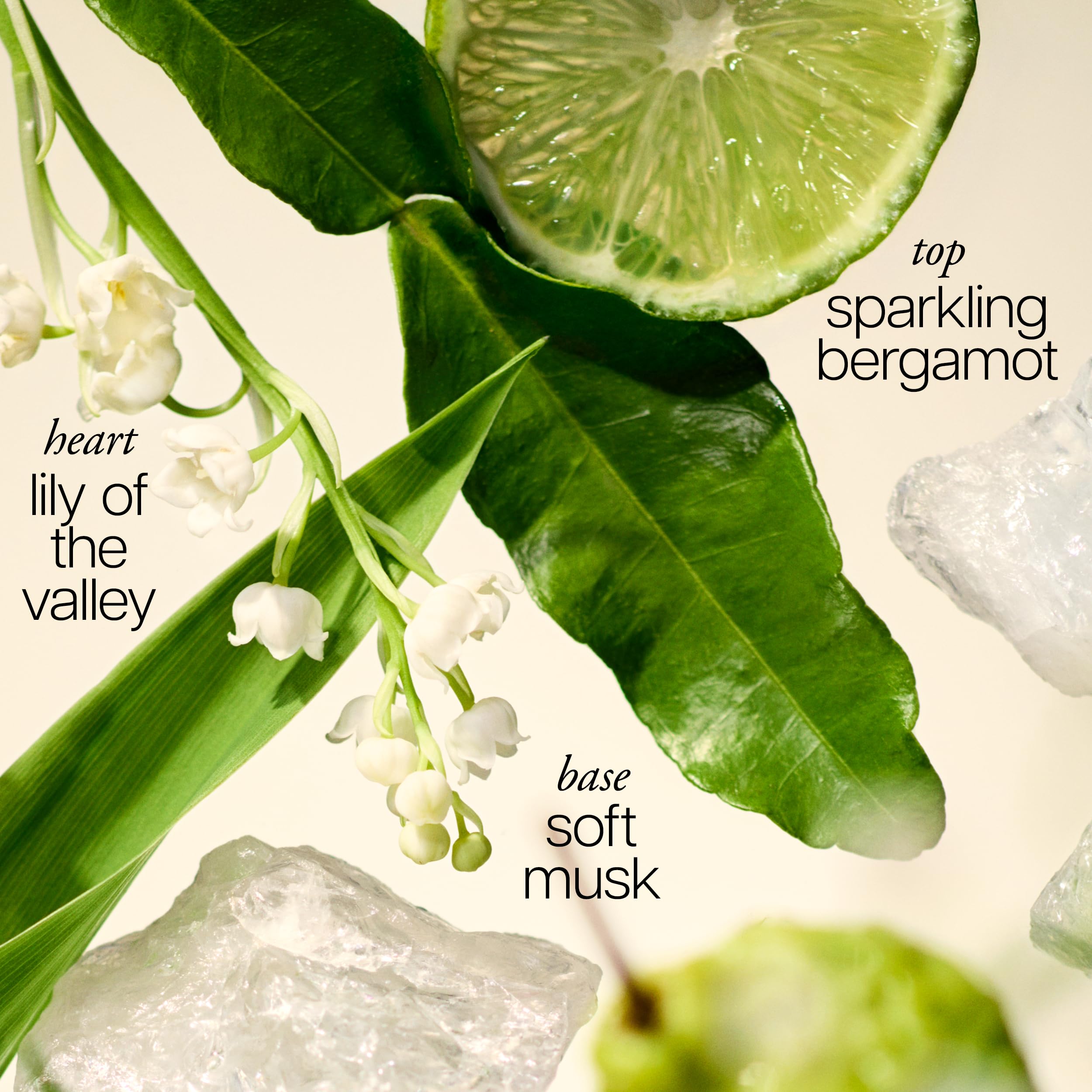 Filosofía increíble gracia eau de toilette 2 fl oz