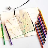 BIC Intensity Coloured Pencils 24 Pack Vibrant Colours Wood-Free Pencils view 5