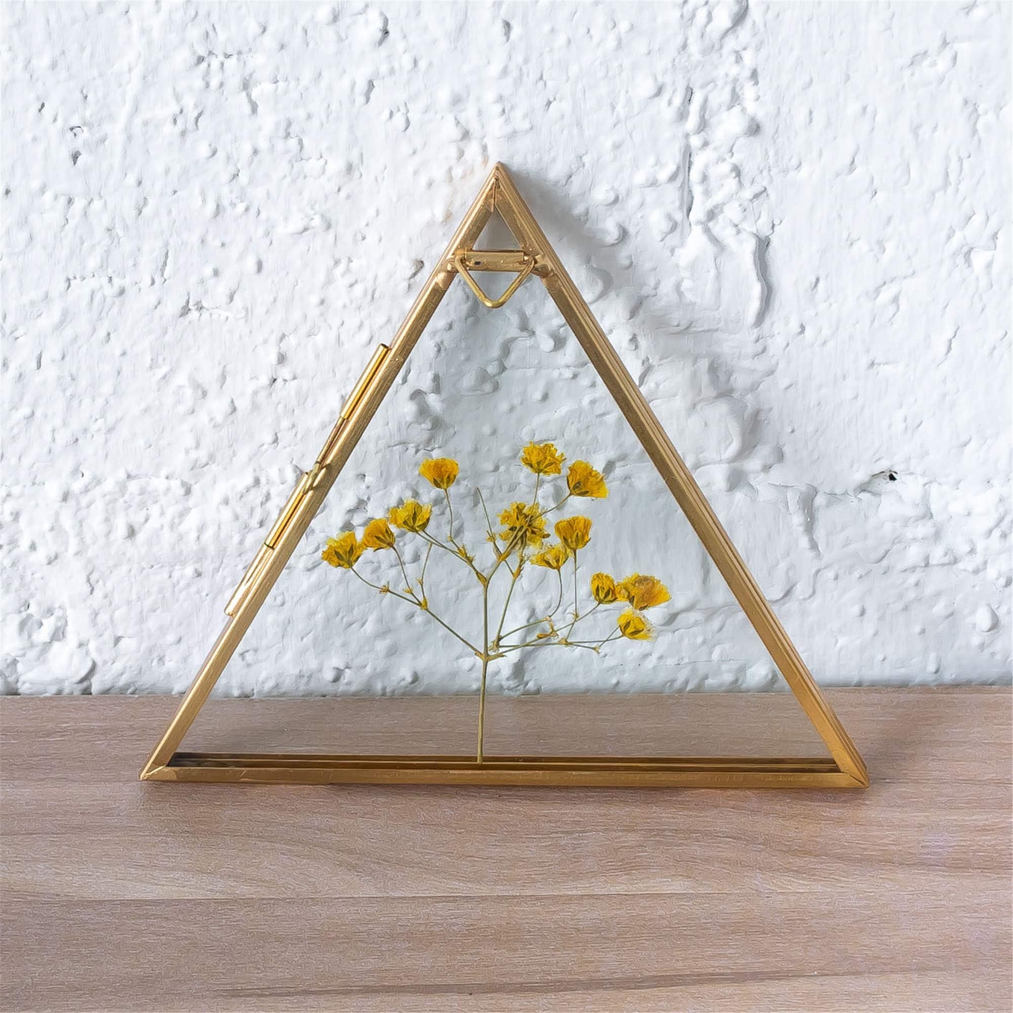 Small Hanging Triangle Herbarium Brass Glass Frame for Pressed Flowers, Dried Flowers, Poster, Double Glass, Floating Frame Style