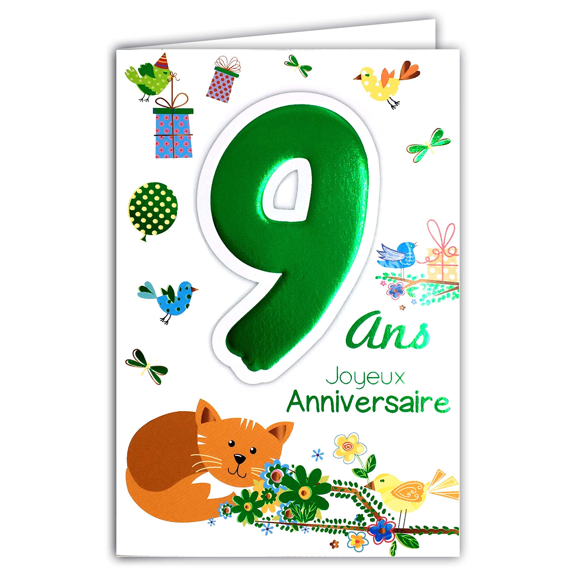 MV 69-2009 Age 9 Birthday Card Happy Birds Cat Design Child Boy Girl Gift