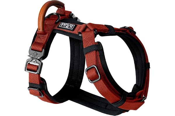MADE TO ROAM Premium Explorer Harness - Y-Shaped Dog Harness with Adjustable Durable Nylon, Soft Padding, Metal Buckles and L