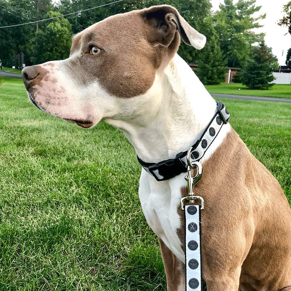 blue bullies for sale near me