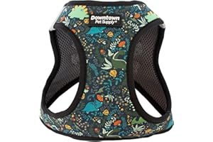 Downtown Pet Supply Step in Dog Harness for Small Dogs No Pull, X-Small, Dinosaur - Adjustable Harness with Padded Mesh Fabri