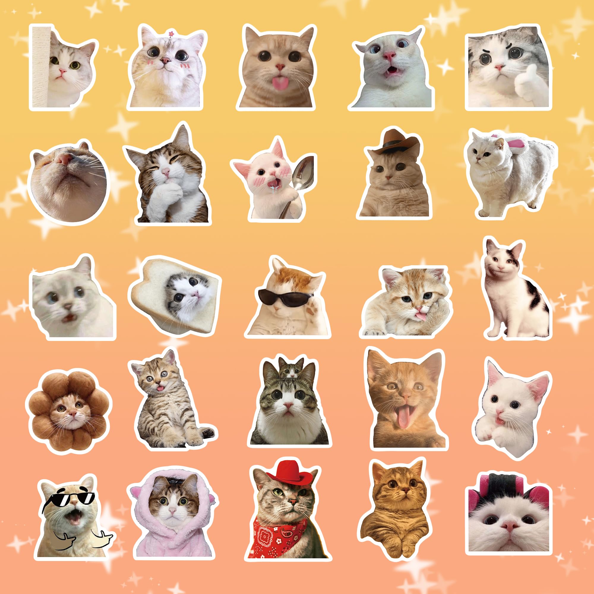 Mua 100 Pcs Cat Meme Stickers, Funny Cat Stickers, Cute Cat Stickers ...