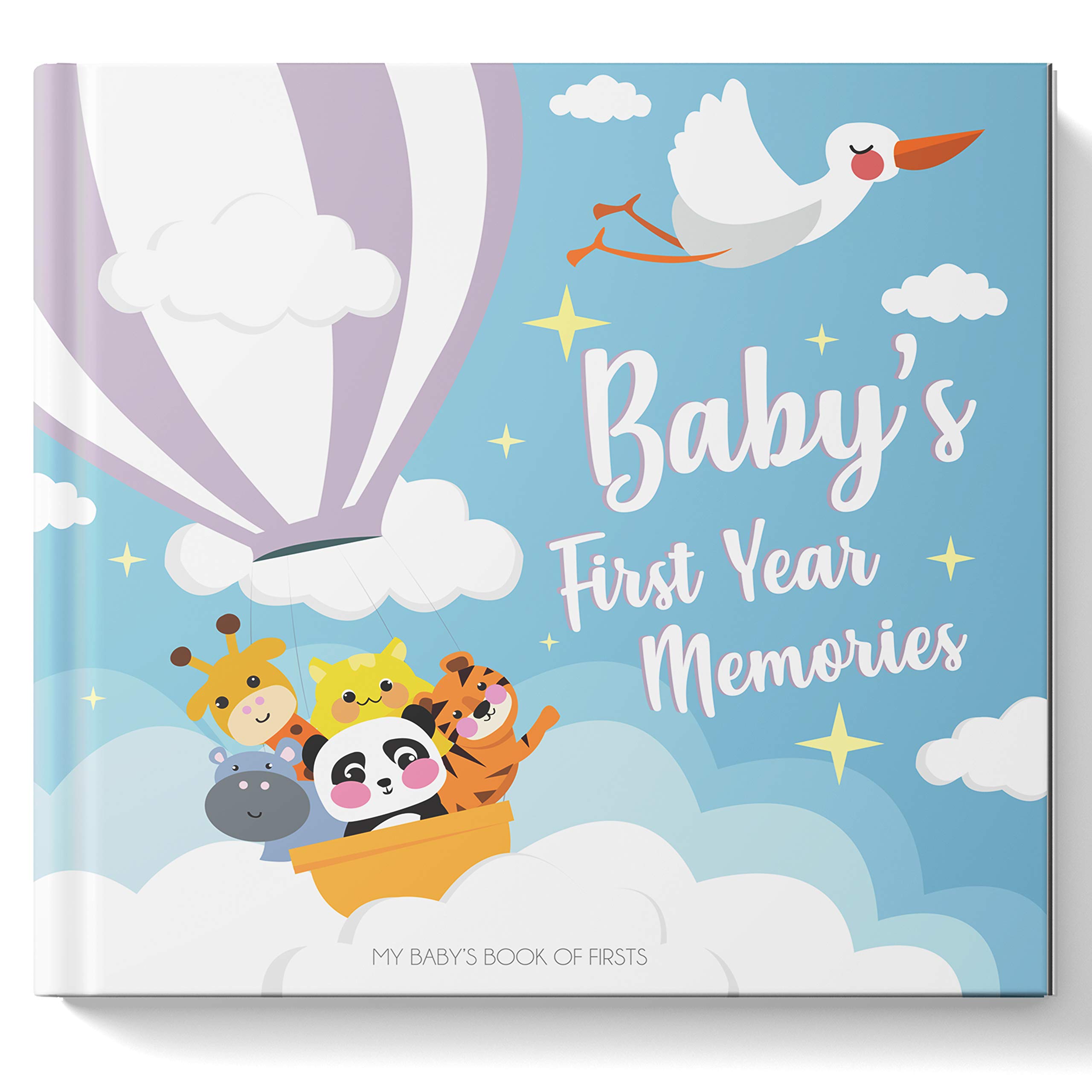 Baby Photo Book First Year My Baby S 1st Year Book By Igloobooks
