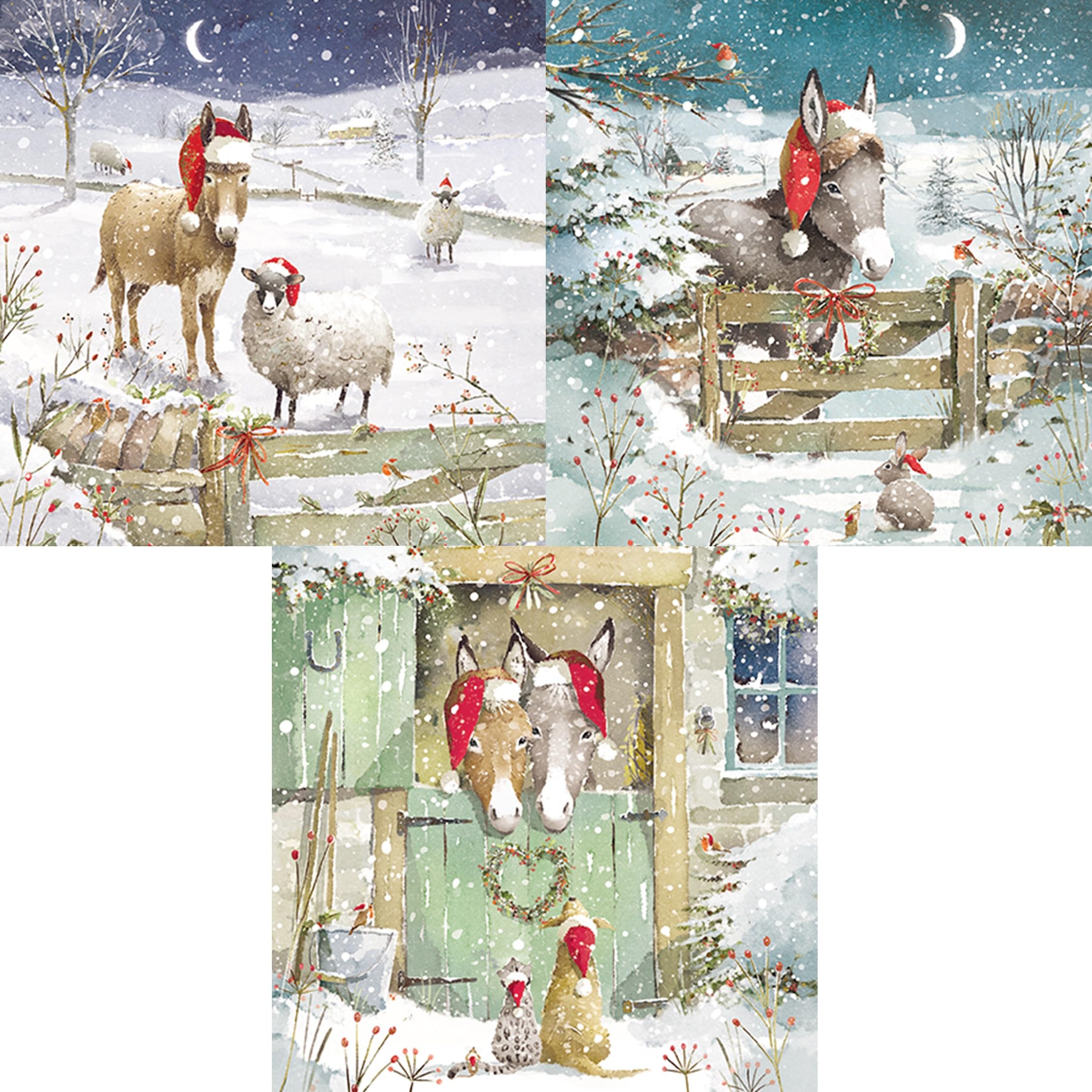 Christmas Cards Deluxe Box of 12 - Donkeys and Santa Hats the Snow - 4 Each of 3 Designs - Eco-Friendly and Recyclable - By Paper House