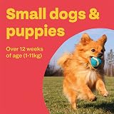Bob Martin Clear Flea Treatment Small Dogs & Puppies 3 Tablets 11kg view 3