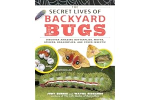 The Secret Lives of Backyard Bugs: Discover Amazing Butterflies, Moths, Spiders, Dragonflies, and Other Insects!