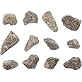 EISCO 12PK Raw Quartzite, Metamorphic Rock Specimens - Approx. 1" - Geologist Selected & Hand Processed - Great for Science Classrooms - Class Pack