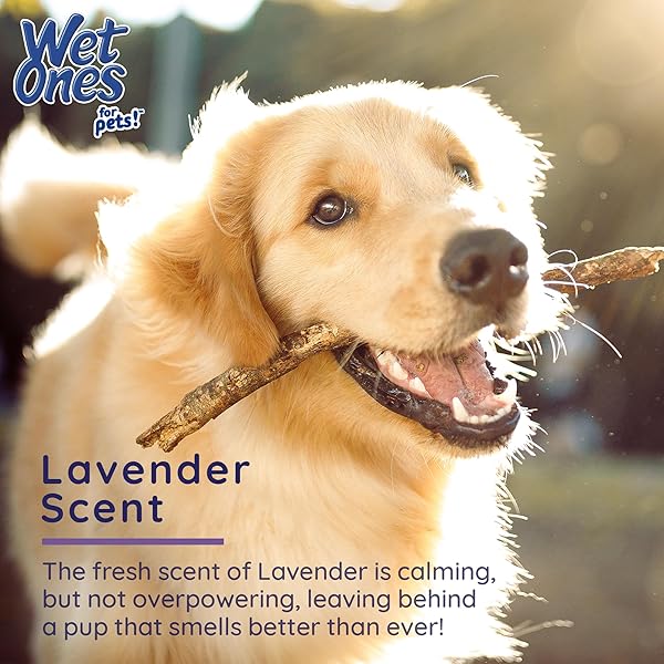 WET ONES FOR PETS ANTIBACTERIAL CALMING WIPES WITH CHAMOMILE, LAVENDER SCENT – DOG CLEANING WIPES – SCENTED, DURABLE AND DISPOSABLE DOG WIPES FOR PAWS, 30 COUNT