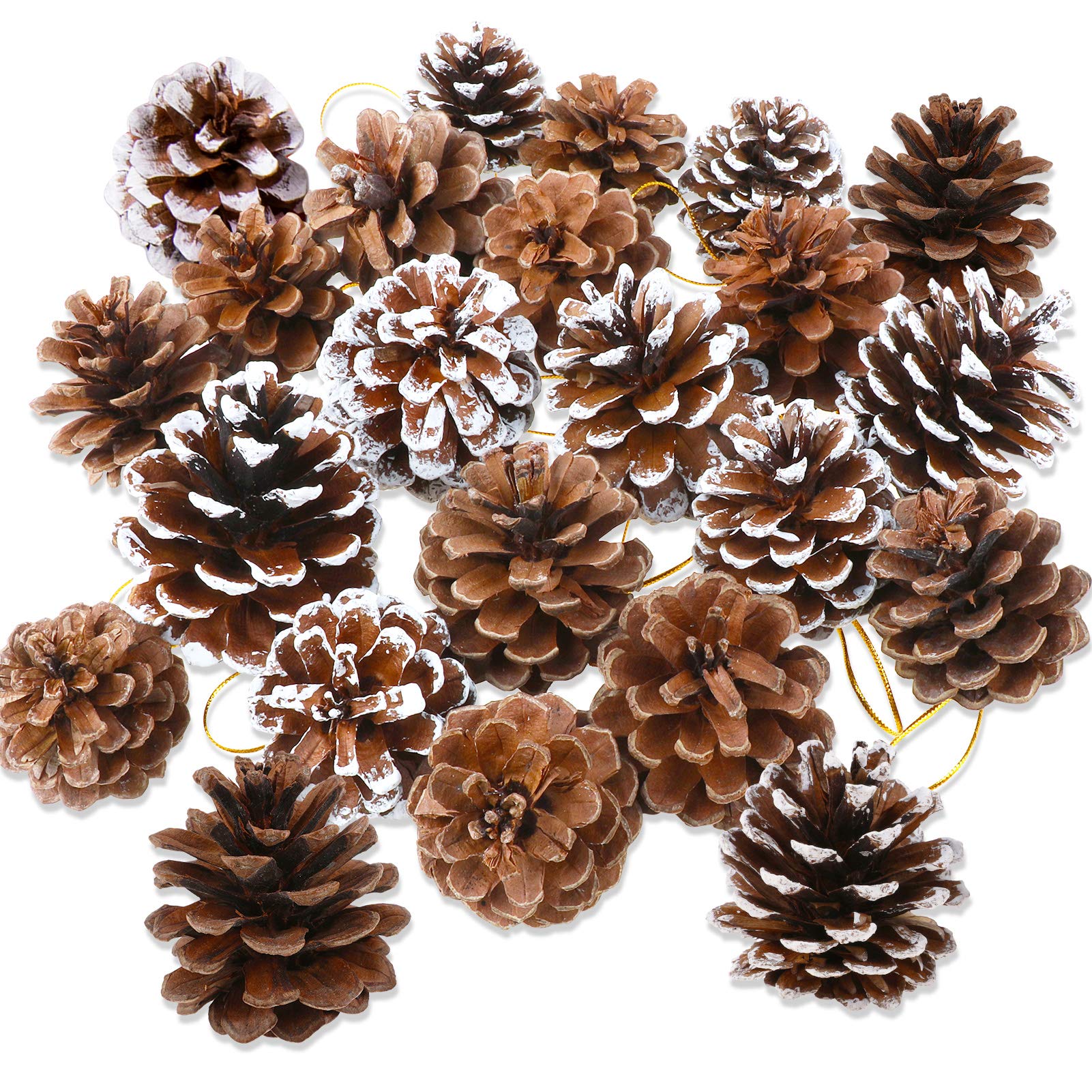 HOWAF 25 Pieces Natural Pine Cones, 5 to 6cm Pine Cones for Crafts, Pine Cones With String for Gift Tag Party Hanging Christmas Tree Decoration Christmas Wreath Garlands Decoration