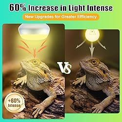 REPTI HOME Reptile Heat Lamp 2Pack 100W, Intense