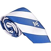 Desert Cactus United States Air Force Academy Neck Tie USAFA Fighting Falcons 100% Polyester Necktie with Logo, Officially Licensed