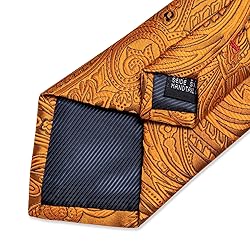 DiBanGu Silk Paisley Ties for Men Woven Necktie and