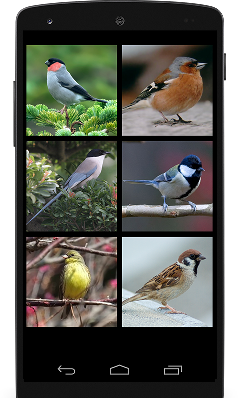 鳥の鳴き声2 スズメの仲間 Amazon Co Jp Appstore For Android