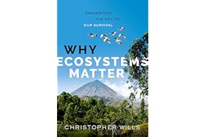 Why Ecosystems Matter: Preserving the Key to Our Survival