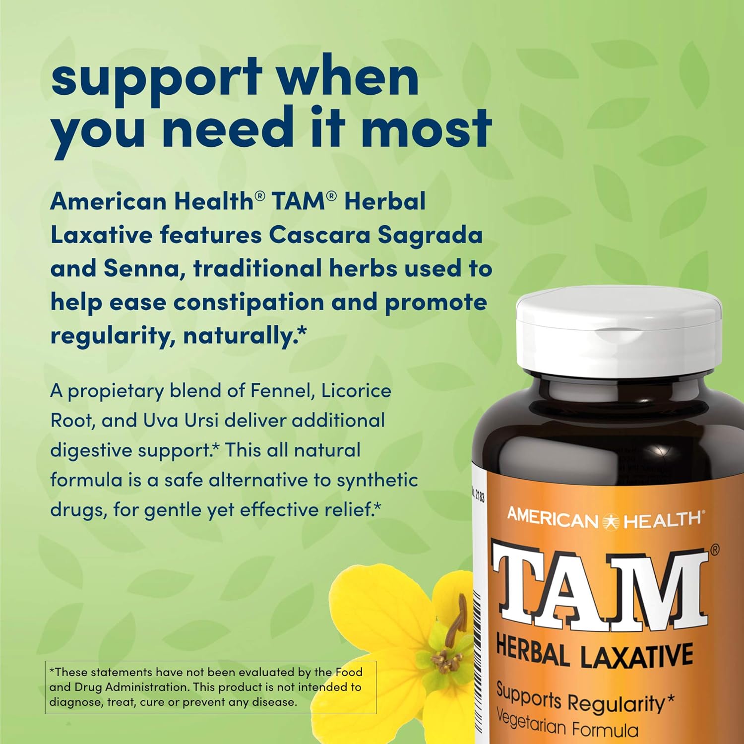 American Health Tam Herbal Laxative Tablets - Supports Regularity, Eases Occasional Constipation - Non-GMO, Gluten-Free, Vegan - 78 mg Cascara Sagrada - 250 Count, 125 Total Servings: Health & Personal Care