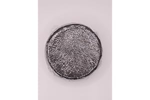 Pecorino Ginepro – Italian Sheep’s Milk Cheese with Juniper, Artisan Gourmet Imported Cheese, Rich & Aromatic Flavor, 500g