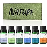 Fragrance Oils, MitFlor Nature Set of Essential Oils for Diffusers for Home, Soap & Candle Making Scents, Aromatherapy Oil Gift Set, Ocean Mist, Rain, Pine Forest and More, 6x10ml