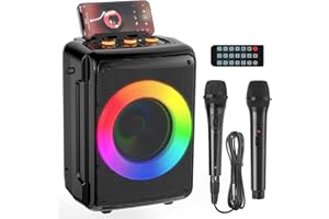 HWWR Karaoke Machine for Adults and Kids, Bluetooth Speaker with 2 Microphones, Portable Party Karaoke Speaker with DJ Lights Support REC, PA System Best Gift for Brithday etc D13-N