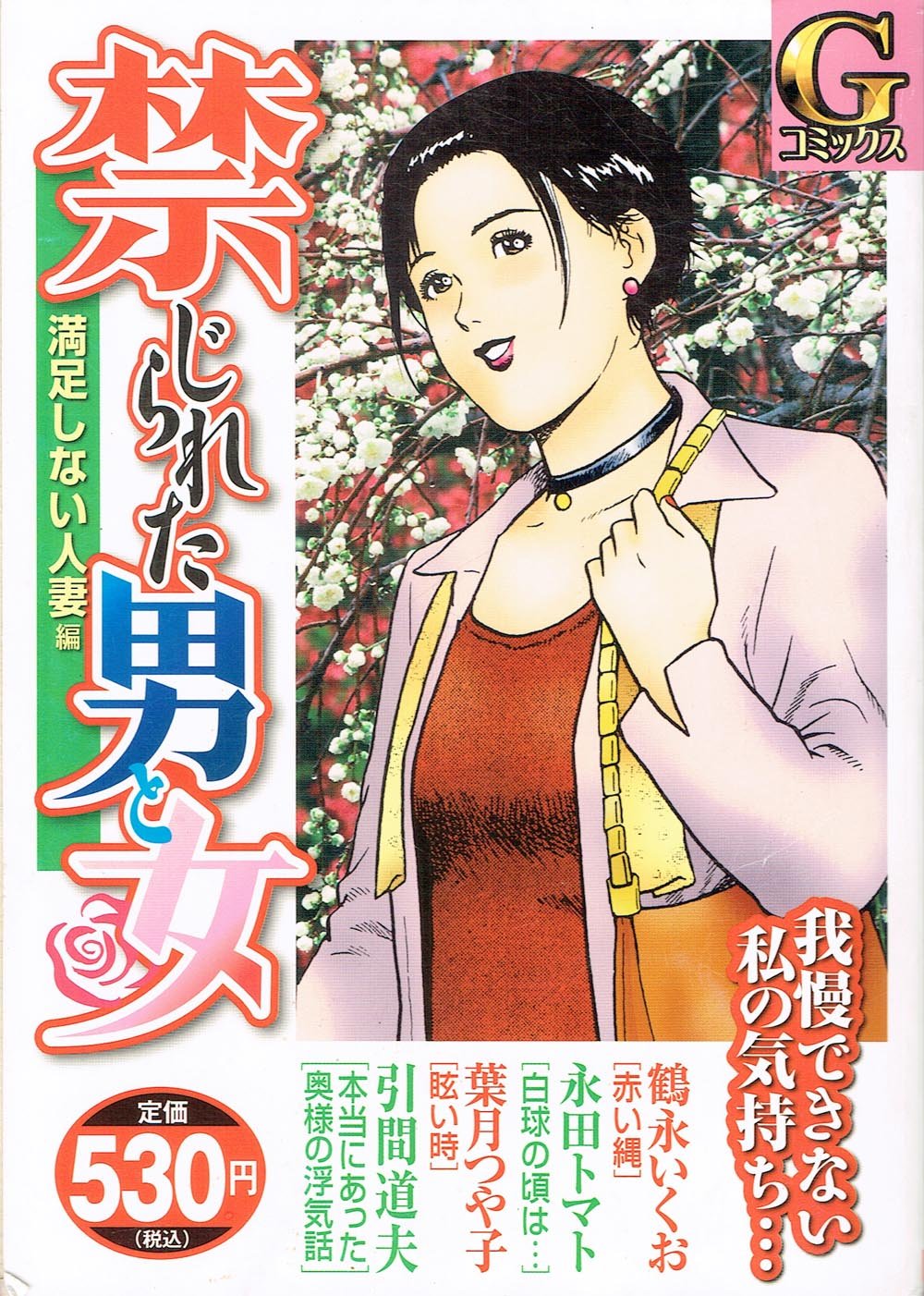 禁じられた男と女 満足しない人妻編 Gコミックス Amazon Com Books