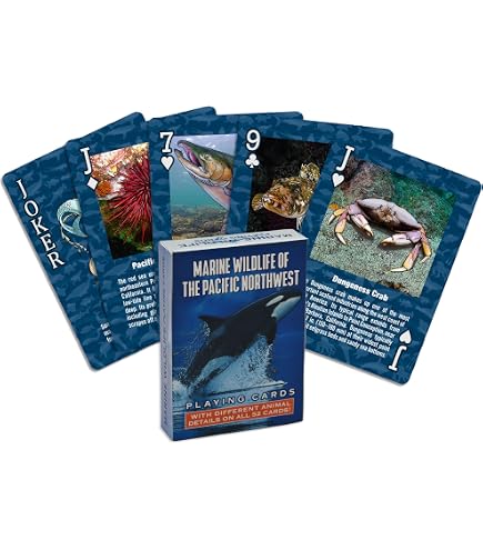 Amazon.com: Kikkerland Lenticular 3-D Shark Poker-Size Playing
