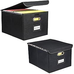 Desihum Collapsible File Organizer Box, filing