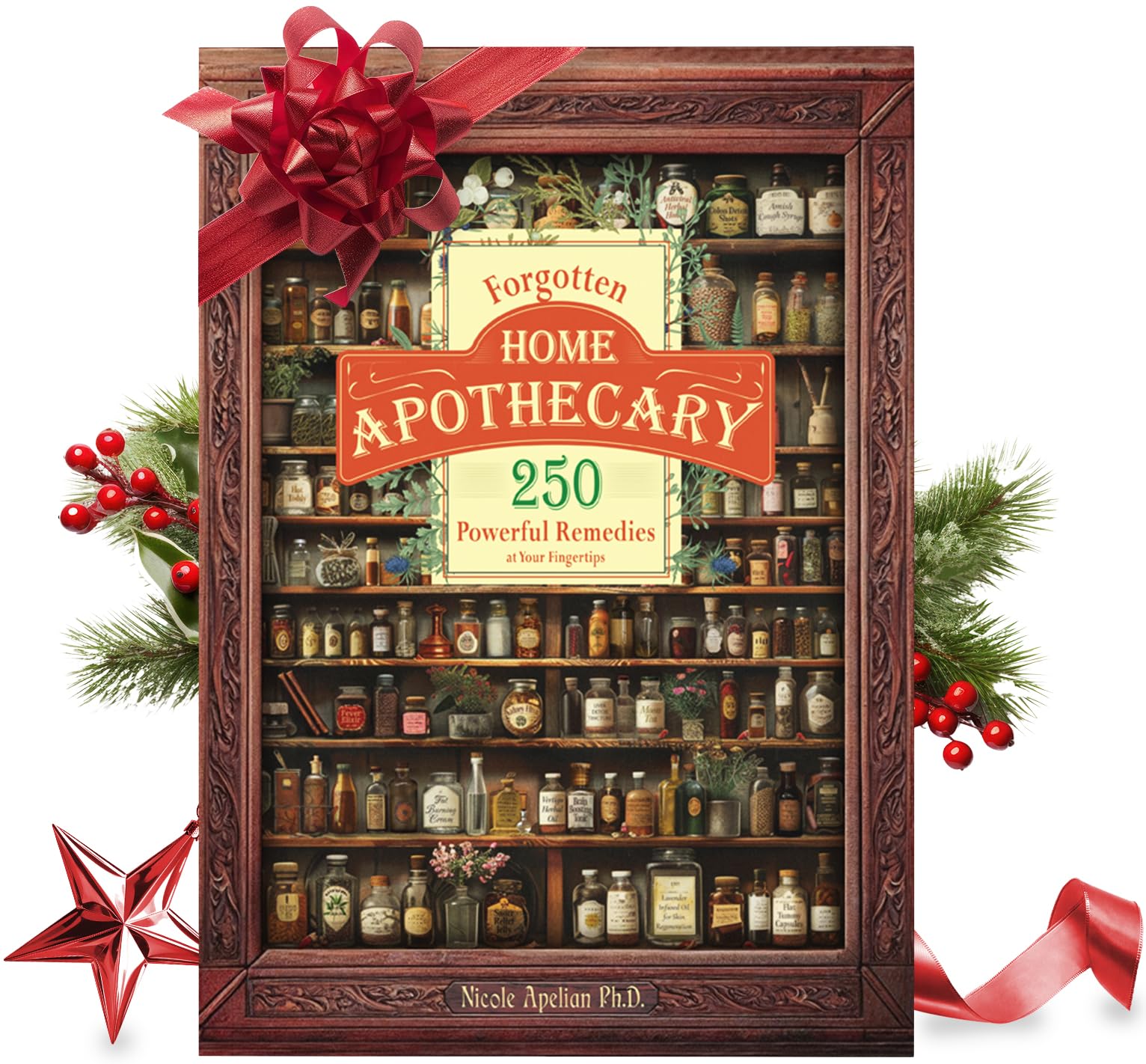 Forgotten Home Apothecary : 250 Powerful Remedies at Your Fingertips
