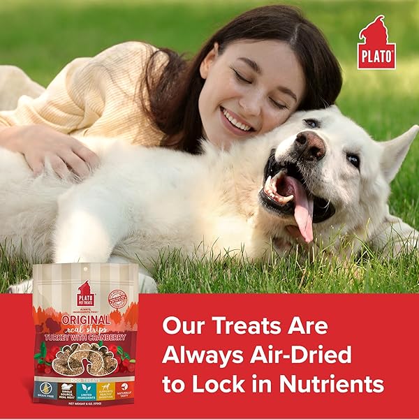 PLATO TURKEY REAL STRIPS NATURAL DOG TREATS – REAL MEAT – AIR DRIED – MADE IN THE USA – TURKEY & CRANBERRY, 3 OUNCES