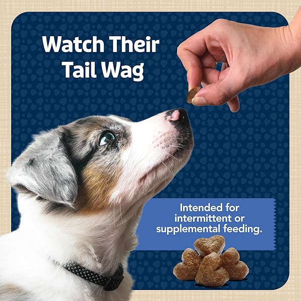 BLUE BUFFALO BITS SOFT DOG TREATS FOR TRAINING, MADE WITH NATURAL INGREDIENTS & ENHANCED WITH DHA, CHICKEN RECIPE, 19-OZ BAG