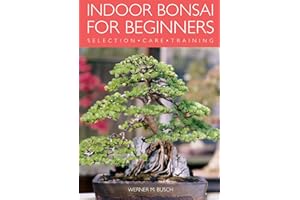 Indoor Bonsai for Beginners: Selection · Care · Training